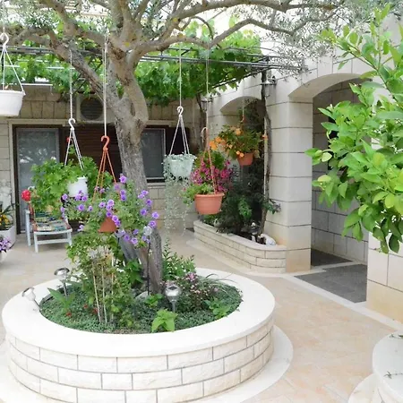 Darija & Pero プチシャ