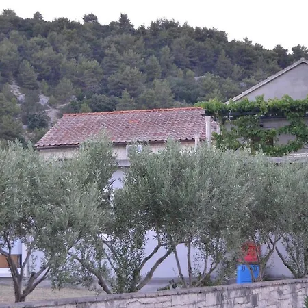 Darija & Pero * プチシャ