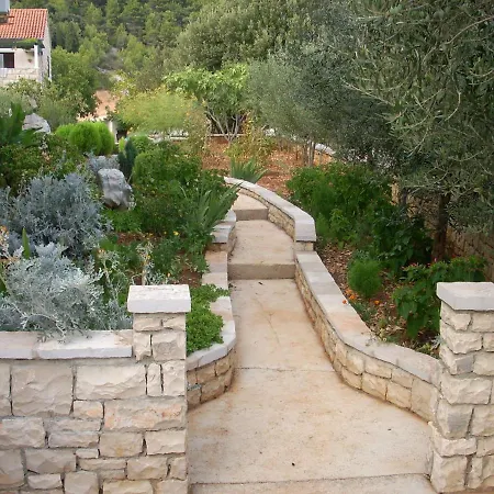 Darija & Pero * プチシャ