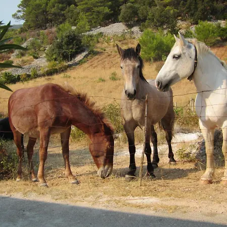 アパート Darija & Pero *