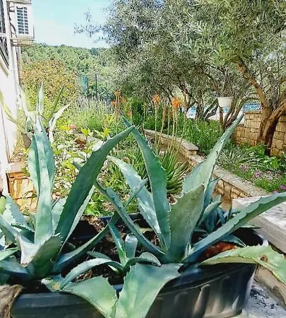 Darija & Pero Pučišća