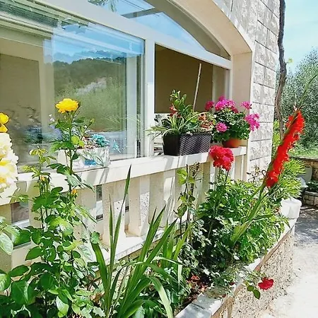 Apartman Darija & Pero Pučišća