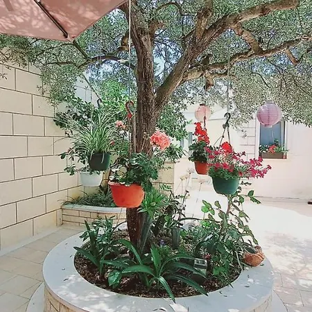 Apartamento Darija & Pero Pucisca