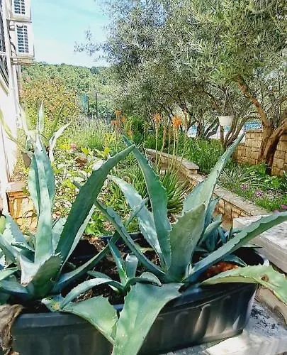Darija & Pero פוצ'ישצ'ה