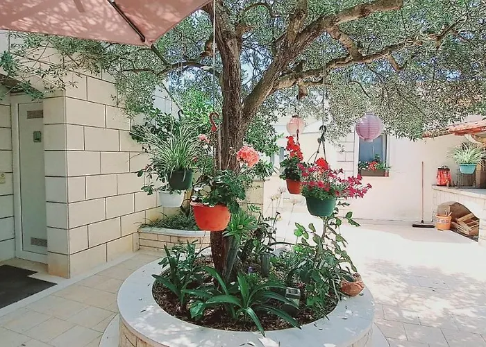 דירה Darija & Pero פוצ'ישצ'ה
